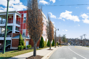 Commercial landscape