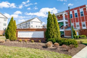 Washington University entrance sign with buildings and trees around.