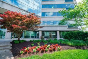 Patapsco landscape deign in Howard county