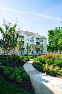 Patapsco landscape deign