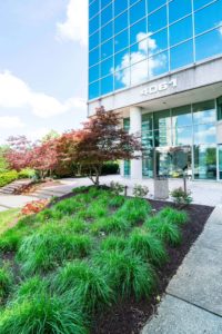 Commercial landscape