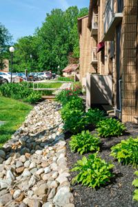 Patapsco landscape deign Baltimore