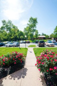 Patapsco landscape deign in Howard county