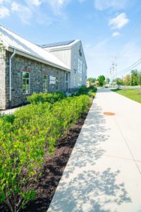 Patapsco Spring trimmed bushes