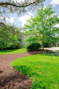 New mulch landscape in Baltimore