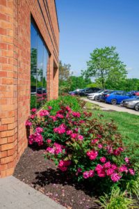 Outdoor commercial landscape