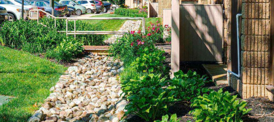 Patapsco landscape deign Baltimore