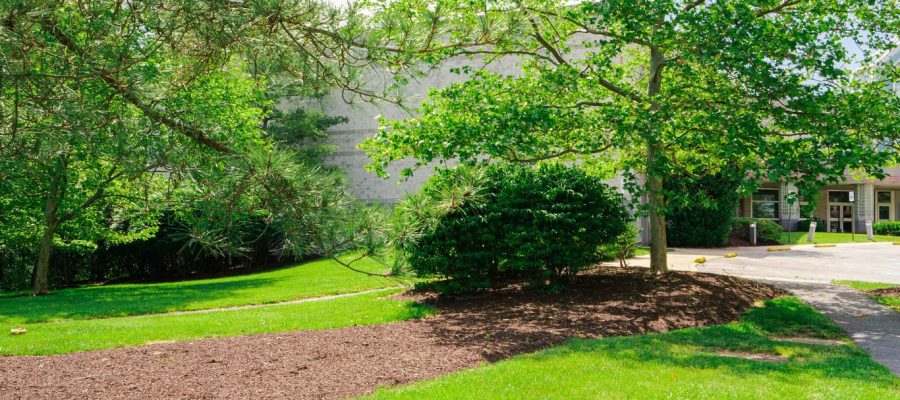 New mulch landscape in Baltimore